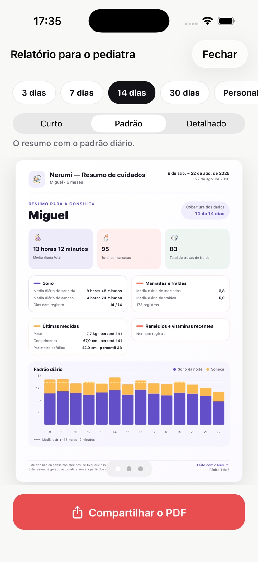 Relatório do Nerumi com o perfil de exemplo Miguel